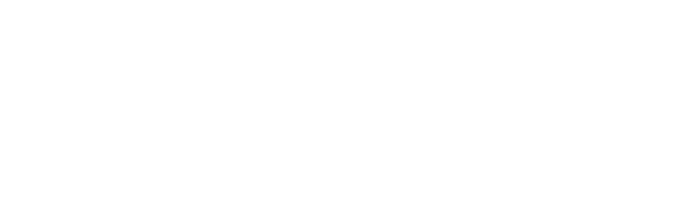 Guard Service